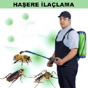 Araklı Böcek İlaçlama